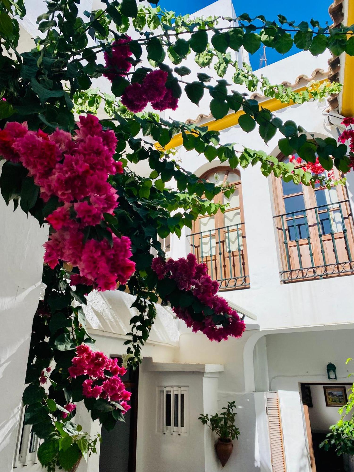 Tarifa Townhouse 아파트 외부 사진